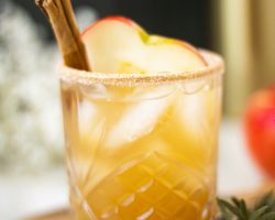 Apple cider margarita in a glass with a slice of apple and a cinnamon stick garnish.